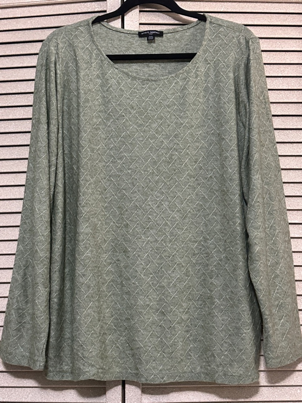 Mario Serrani Sage Textured Long Sleeve Top